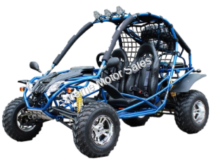 Tiking TK200GK-10 200cc Go Cart Go Kart Off Road Dune Buggy