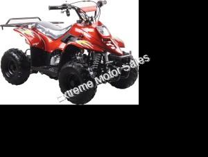 Mini ATV Plastic Body 1 Piece for Chinese Mini Quad 4 Wheeler