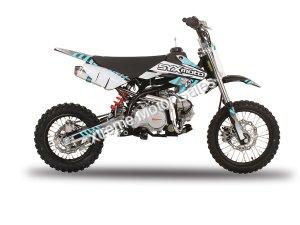 PAD125-1F 125cc Dirt Bike Fully Automatic Electric Start Pit Bike Kids