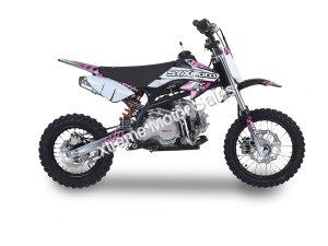 PAD125-1F 125cc Dirt Bike Fully Automatic Electric Start Pit Bike Kids