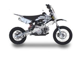 PAD125-1F 125cc Dirt Bike Fully Automatic Electric Start Pit Bike Kids