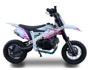 SYXMoto PAD60-1 60cc Mini Dirt Bike Fully Automatic Pit Bike