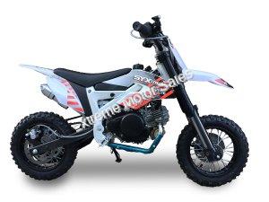 SYXMoto PAD60-1 60cc Mini Dirt Bike Fully Automatic Pit Bike