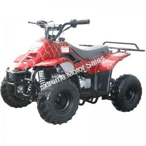 Panther Kids 110cc ATV  Youth Quad With Parent Remote Control