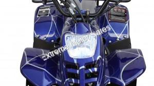 Panther Kids 110cc ATV  Youth Quad With Parent Remote Control