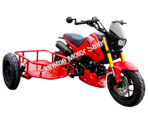 Fuerza 125CC 3-WHEEL Motorcycle with Side Car | PMZ125-1S