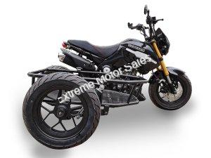 Fuerza 125CC 3-WHEEL Motorcycle with Side Car | PMZ125-1S