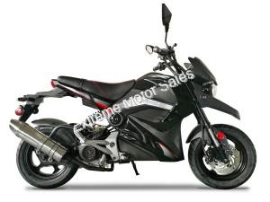 Evader PMZ50-M5 50cc Scooter Automatic Motorcycle Grom Style