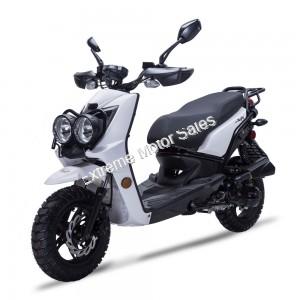 Wolf Rugby 150cc Gas Scooter Moped Street Legal 2 Year Warranty