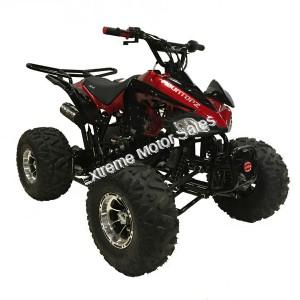 Snake Eyes 125cc Kids ATV Quad with Reverse Deluxe Aluminum Wheels