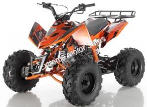 Apollo Sniper 125cc Kid ATV Sport Style Kids Automatic Quad with Reverse