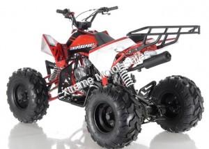 Apollo Sniper 125cc Kid ATV Sport Style Kids Automatic Quad with Reverse