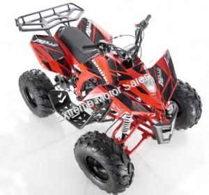 Apollo Sniper 125cc Kid ATV Sport Style Kids Automatic Quad with Reverse