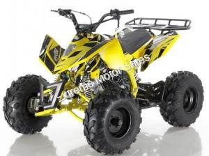 Apollo Sniper 125cc Kid ATV Sport Style Kids Automatic Quad with Reverse