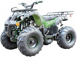 Spartan PAH125-8E Kids ATV Fully Automatic 125cc ATV with Remote Kill