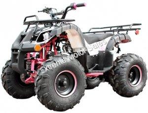 Spartan PAH125-8E Kids ATV Fully Automatic 125cc ATV with Remote Kill