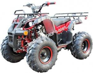 Spartan PAH125-8E Kids ATV Fully Automatic 125cc ATV with Remote Kill