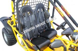 Extreme Spider 200cc 250cc Go Cart Go Kart KD200GKA-2 Buggy