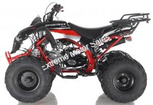 Apollo Sport Trax Kid 125cc ATV Utility Style Quad Kids Automatic 4 Wheeler