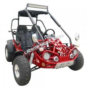 Trailmaster 200E XRX Go Cart Go Kart Dune Buggy 200cc Adult Size