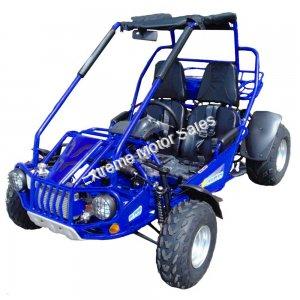 Trailmaster 300 XRSE EFI Go Cart Kart Dune Buggy 300cc Liquid Cooled