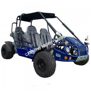 Trailmaster 300 XRS4E 4 Seater 300cc EFI Go Cart Kart Off Road Dune Buggy