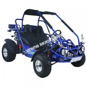 Trailmaster 300 XRX-E EFI Go Cart Go Kart Dune Buggy 300cc Adult Size