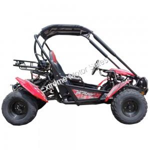 Trailmaster Blazer 200 Go Kart Go Cart Full Size Adult Buggy