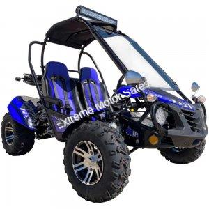 Trailmaster Blazer 200EX Buggy Go Kart EFI | Extreme Motor Sales