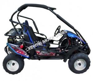 Trailmaster Blazer 200R Go Cart GoKart for Kids- Extreme Motor Sales