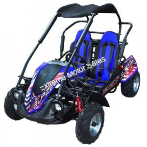 Trailmaster Blazer 200R Go Cart GoKart for Kids- Extreme Motor Sales