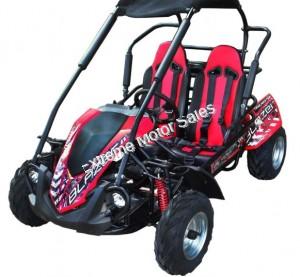 Trailmaster Blazer 200R Go Cart GoKart for Kids- Extreme Motor Sales