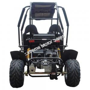 TrailMaster Challenger4 300X Dune Buggy | Fuel Injected 4-Seater UTV