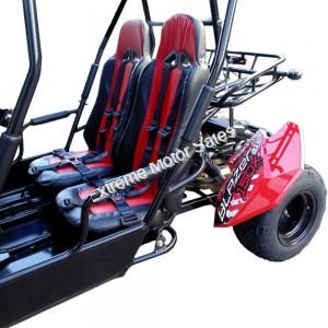 Trailmaster Blazer4 200EX Go Cart GoKart Dune Buggy 4 Seat | EFI