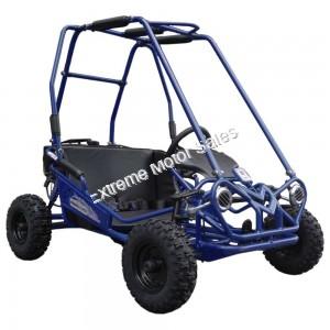 Trailmaster Mini XRS+ Kids Gas Go Cart Off Road Go Kart