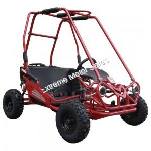 Trailmaster Mini XRS+ Kids Gas Go Cart Off Road Go Kart