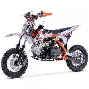 TrailMaster TM11 Kids Dirt Bike 110cc Fully Automatic Pit Bike