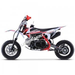 TrailMaster TM11 Kids Dirt Bike 110cc Fully Automatic Pit Bike