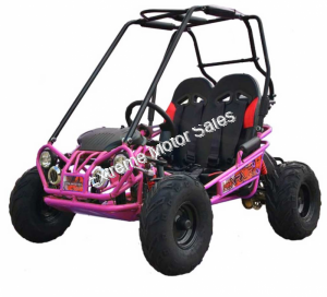 Trailmaster Mini XRX/R+ Plus Go Cart Go Kart Bigger Tires, Frame