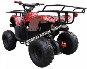 Extreme 3125R Kids ATV 125cc Small Quad 4 Wheeler with Reverse