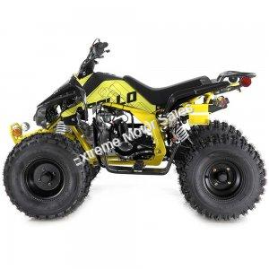 Apollo Blazer9 125cc Sport ATV Kids Quad 9 inch Wheel 4 Wheeler