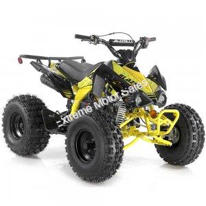 Apollo Blazer9 125cc Sport ATV Kids Quad 9 inch Wheel 4 Wheeler