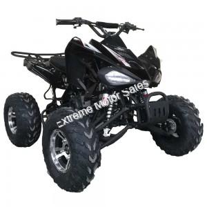 Extreme Cougar 200cc Sport ATV 4 Wheeler Quad Automatic Transmission