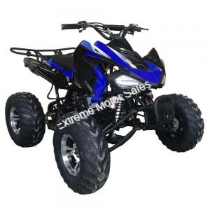 Extreme Cougar 200cc Sport ATV 4 Wheeler Quad Automatic Transmission