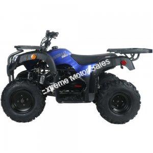 Pentora 150cc ATV Utility Quad 4 Wheeler Automatic Transmission