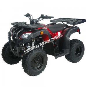 Pentora 150cc ATV Utility Quad 4 Wheeler Automatic Transmission