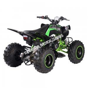 Pentora 200cc ATV EFI Fuel Injected Quad 4 Wheeler Automatic Transmission