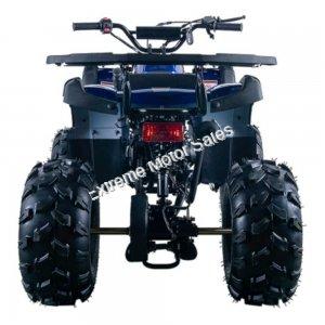 Extreme Rider 10 Quad Kids 125cc ATV 4 Wheeler with Reverse