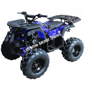 Extreme Rider 10 Quad Kids 125cc ATV 4 Wheeler with Reverse