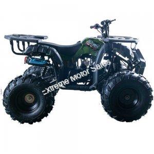 Extreme Rider 10 Quad Kids 125cc ATV 4 Wheeler with Reverse